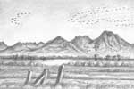 Sutter Buttes with Geese