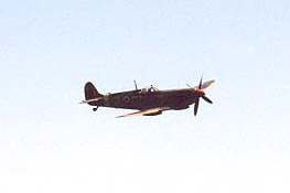 Spitfire