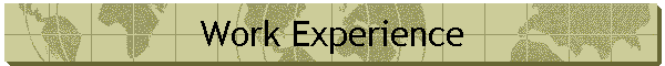 Work Experience