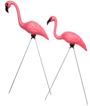 Flamingos-lawn-2.gif (18871 bytes)
