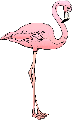 flamingos-3.gif (8526 bytes)