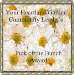 Honeybee's Community Leader Award