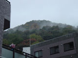 A strange mist rising from the trees near the school on a rainy day