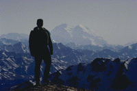 What's the point of all these?