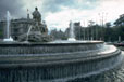 Madrid City Scene