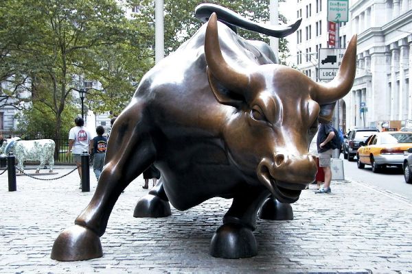 Wall_street_bull-try_me_if_you_dare.jpg