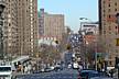 the_road_leading_to_Harlem.JPG