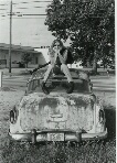 The Car