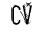 CV
