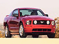 2005 Mustangs !
