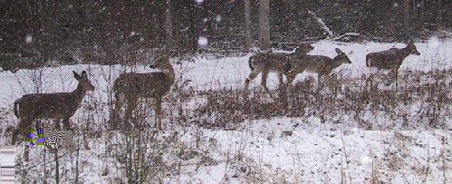 de la neige... le 5 mai???