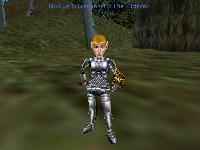 Fine Plate Armor