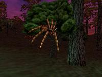 Tree Spider