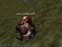 Burynai!