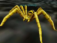 Jungle Spider