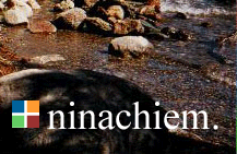 ninachiem.