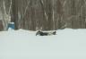 And he's down again .  .