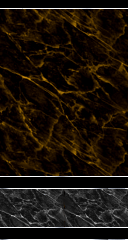 Gold-Veined Black Marble Walls
