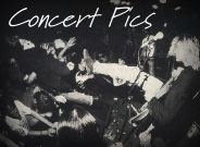 Concert Pics