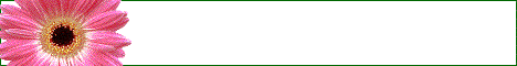 DJ's House of Links Index Banner