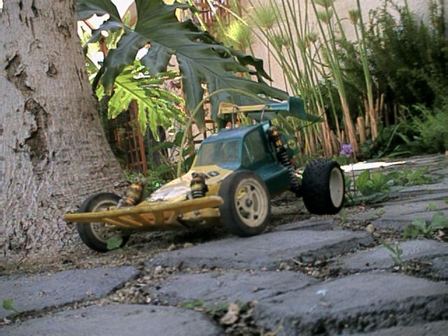 Click to see this picture full sized