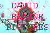 goto david blaine photos