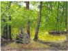 Treestump