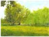 Reigate Priory pond East end