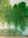 Willow study July 2000