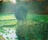 St Marys lilly pond 2001