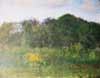 Allotment