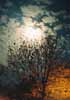 Moonclouds