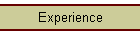 Experience