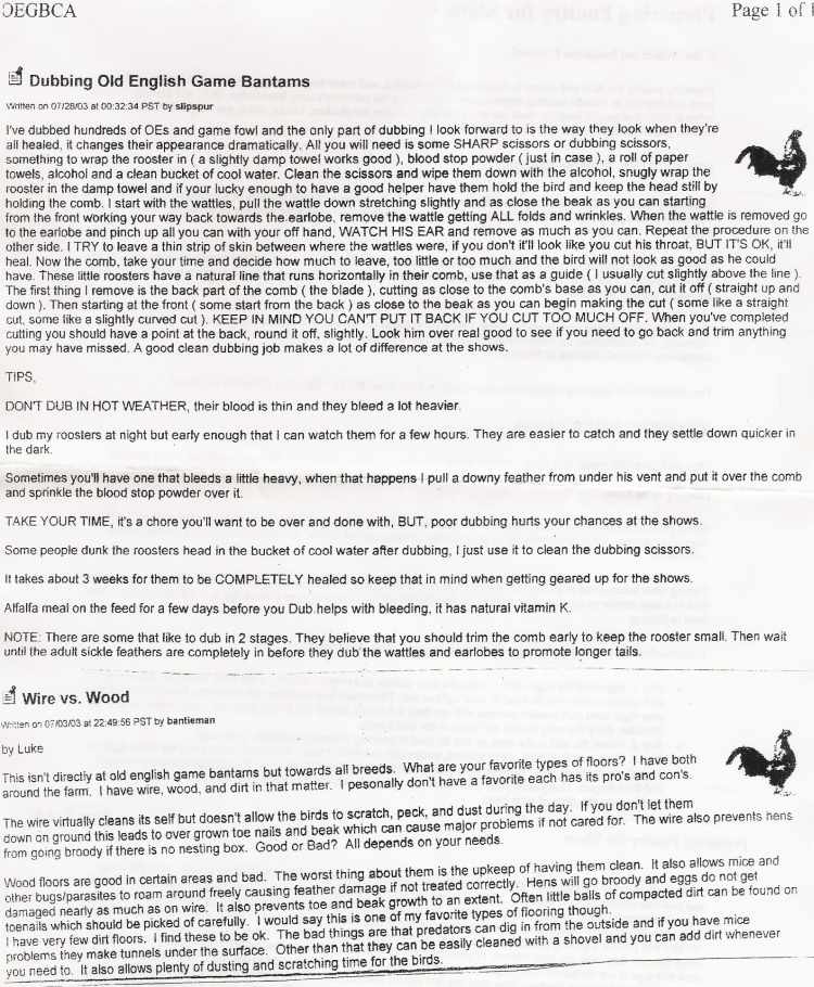 info1.jpg - 110638 Bytes