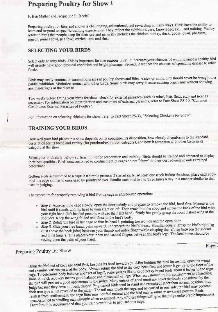 info2.jpg - 110834 Bytes