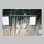 scan0007.html