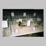 scan0008.html