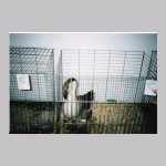 scan0011.html