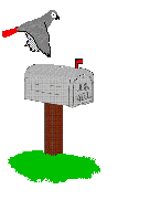 animated african grey parrot flying to a mailbox