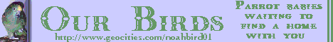 Our Birds Banner