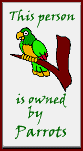 animated parrot pooping sign saying This person owned by Parrots