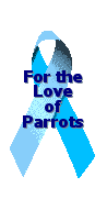 For the Love of Parrots ribbon