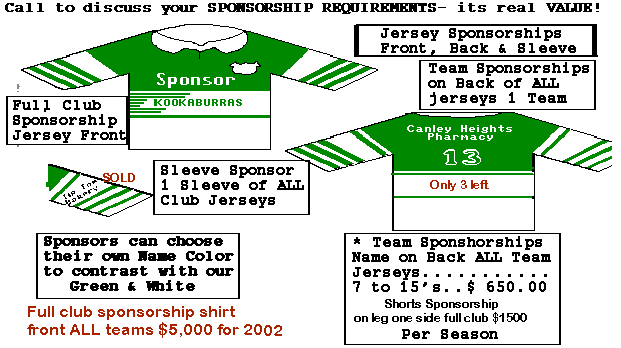 teamjersey