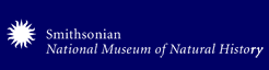 link to Smithsonian National Museum of Natural History