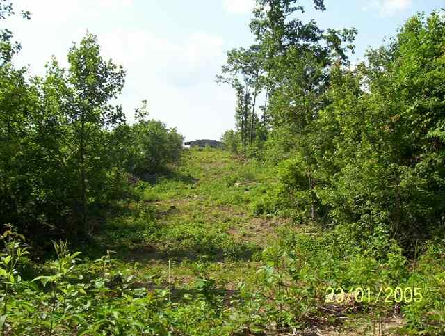 looking back at the barn from across the upper part of the land