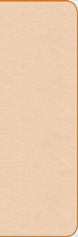 novicea005002.jpg