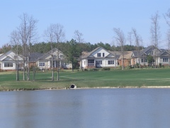 7360.jpg