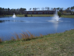 7405.jpg
