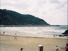 080014.jpg
