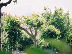 080017.jpg